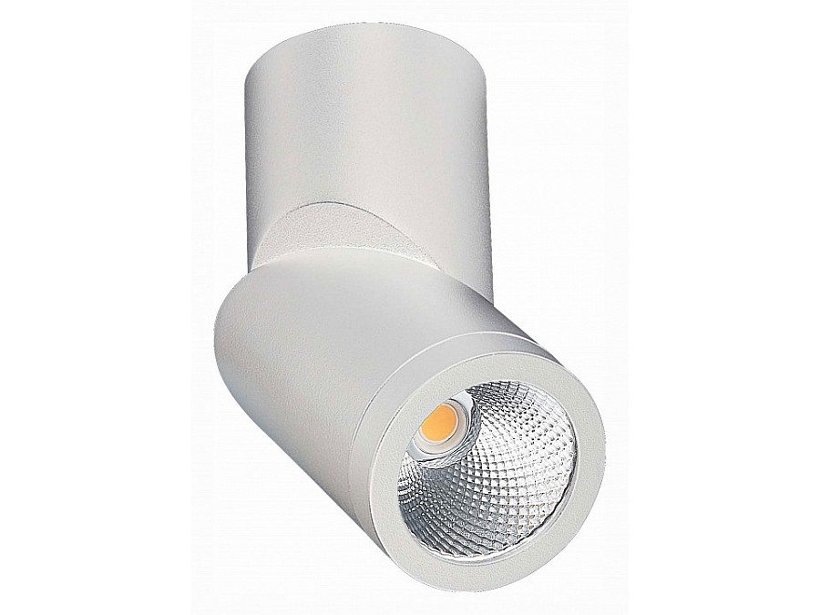 Светильник на штанге ST-Luce ST650 ST650.532.10