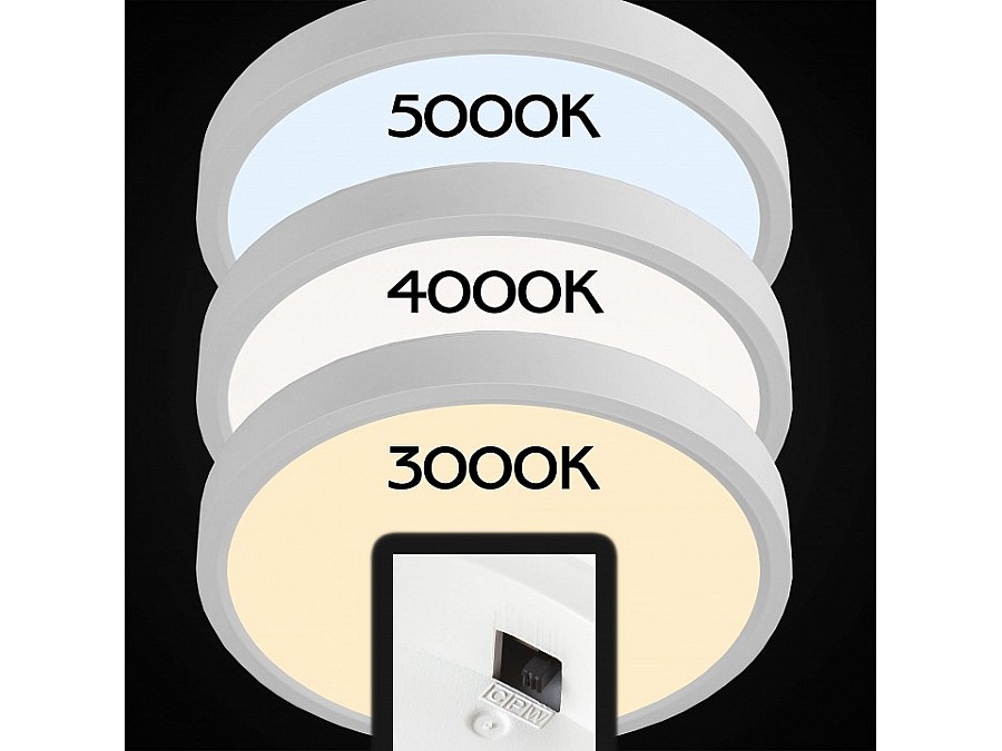 Накладной светильник Citilux Бейсик CL738240V