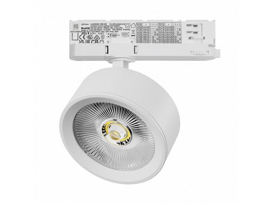 Светильник на штанге Lightstar Alta Pro A5646QT