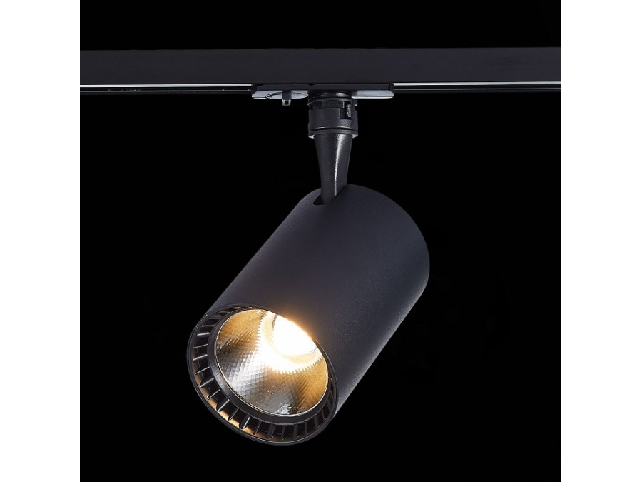 Светильник на штанге ST-Luce Cami ST351.436.20.36