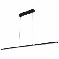 Подвесной светильник Escada 170001 100001/1PL Black