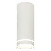 Накладной светильник Escada 20009 20009SMU/02LED SWH