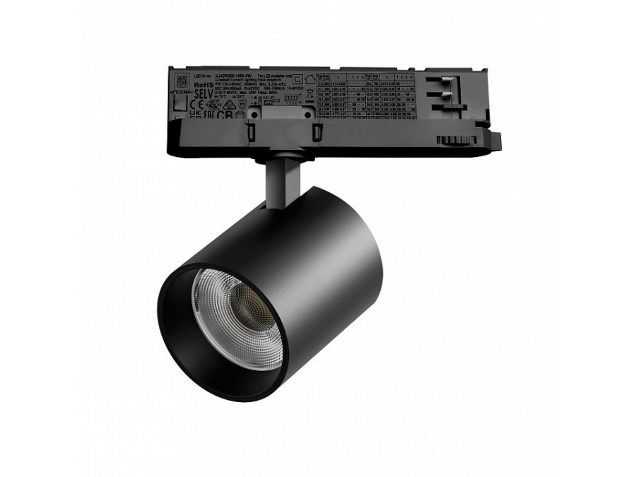 Светильник на штанге Lightstar Alta Base A5437QT