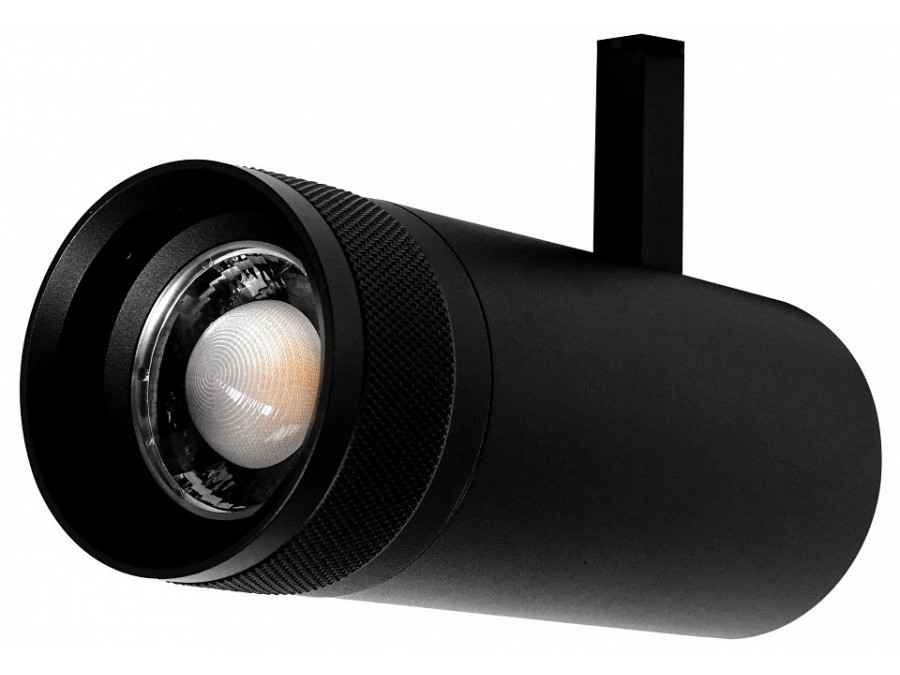 Светильник на штанге Lightstar Canno Pro 304207