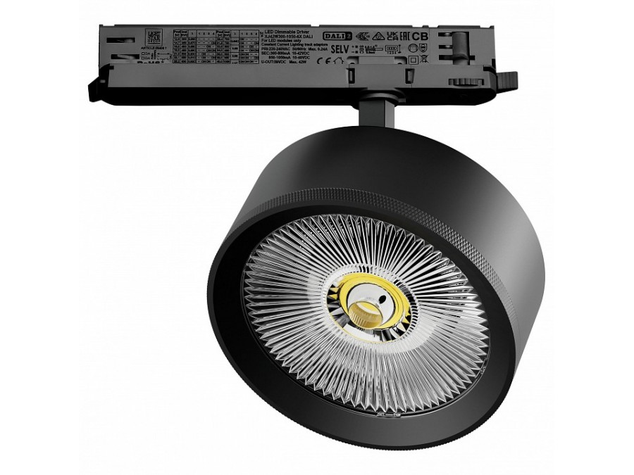 Светильник на штанге Lightstar Alta Pro A5747DALI