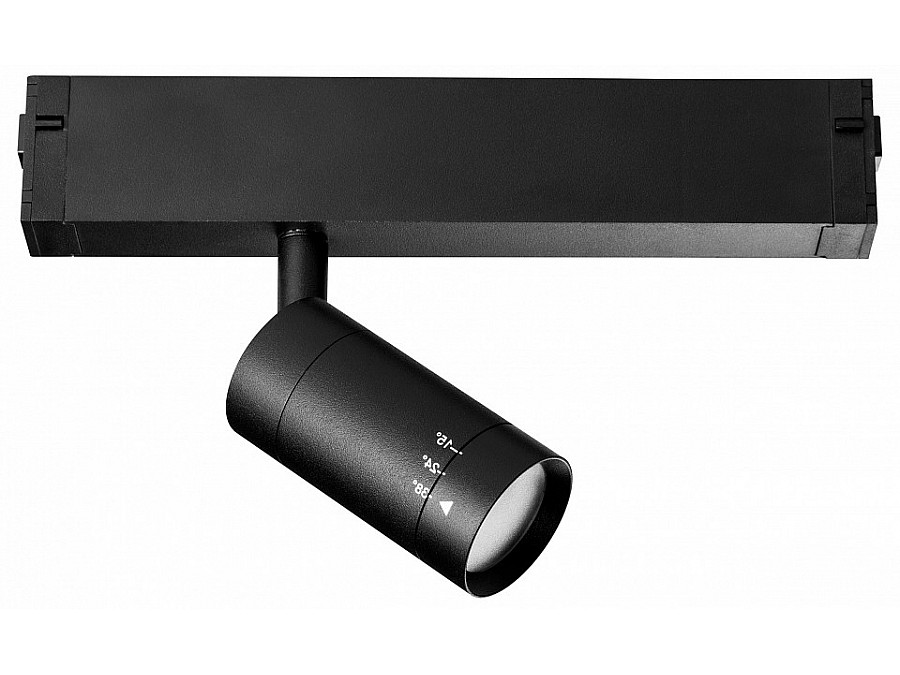 Светильник на штанге Lightstar Teta 205017R
