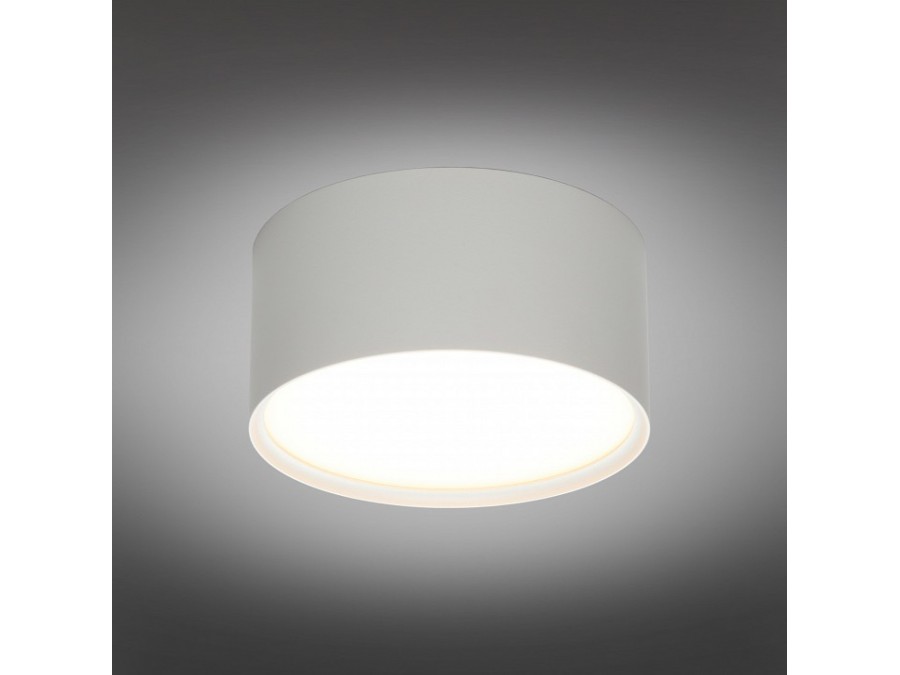 Накладной светильник Omnilux Abano OML-103309-12