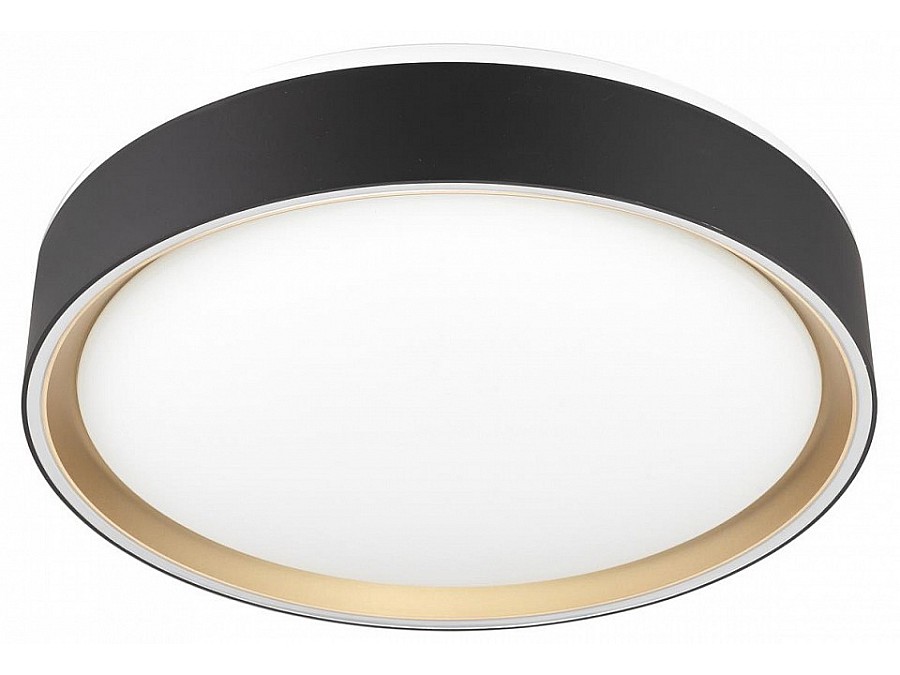 Накладной светильник Citilux BOSS CL751251G