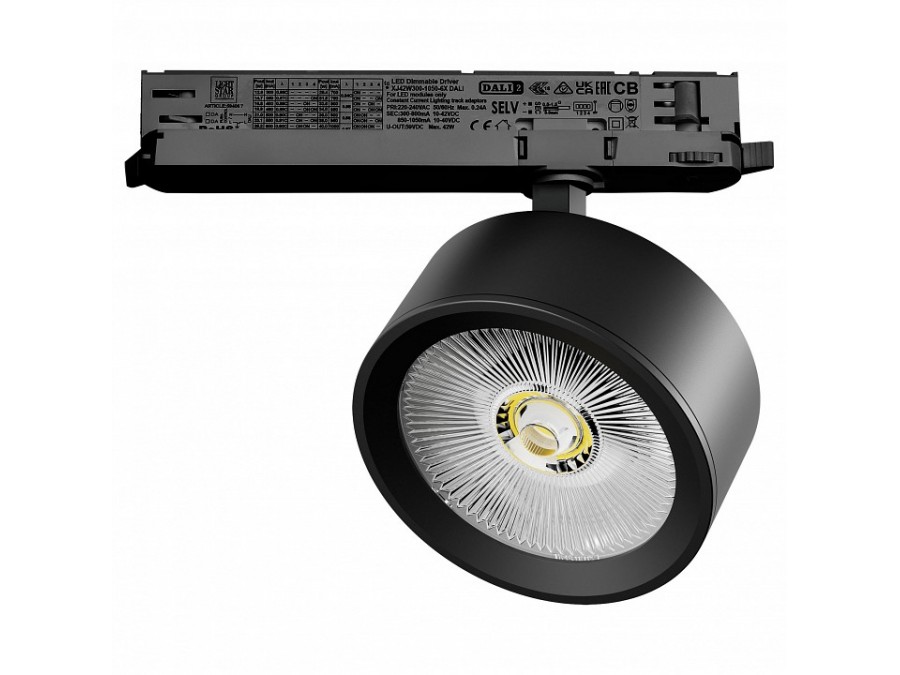 Светильник на штанге Lightstar Alta Pro A5637DALI