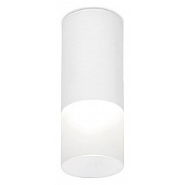 Накладной светильник Ambrella TN TN230