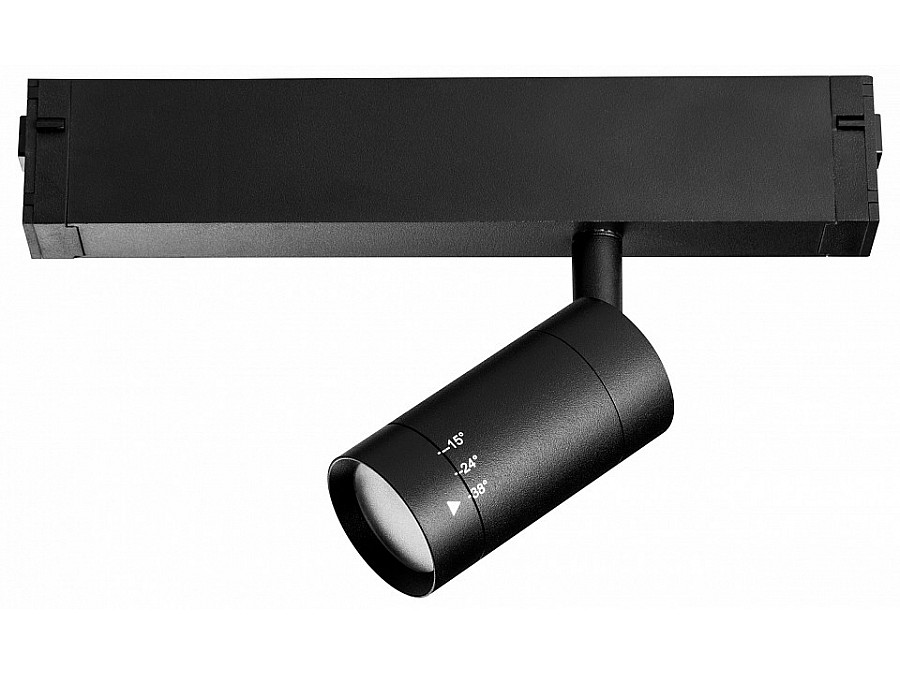 Светильник на штанге Lightstar Teta 205017R