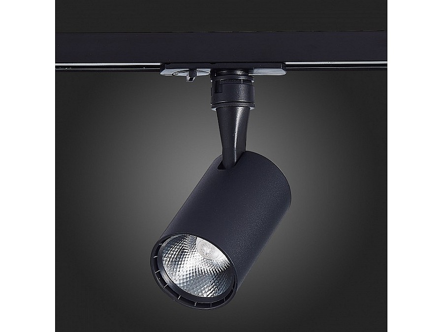 Светильник на штанге ST-Luce Cami ST351.446.10.36