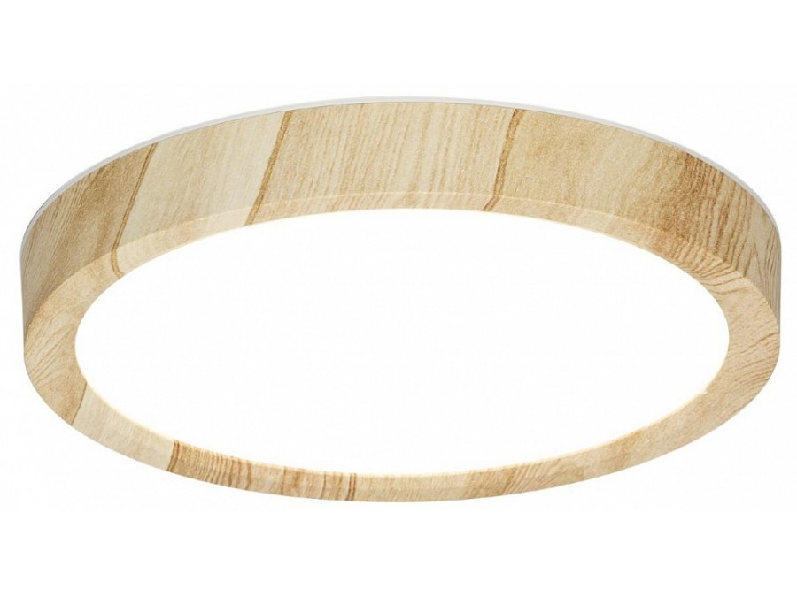 Накладной светильник Citilux Бейсик CL738122N