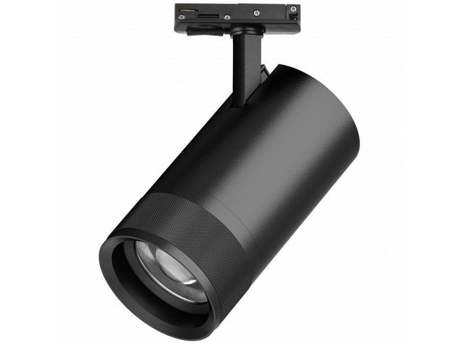 Светильник на штанге Lightstar Canno Pro C4407SS