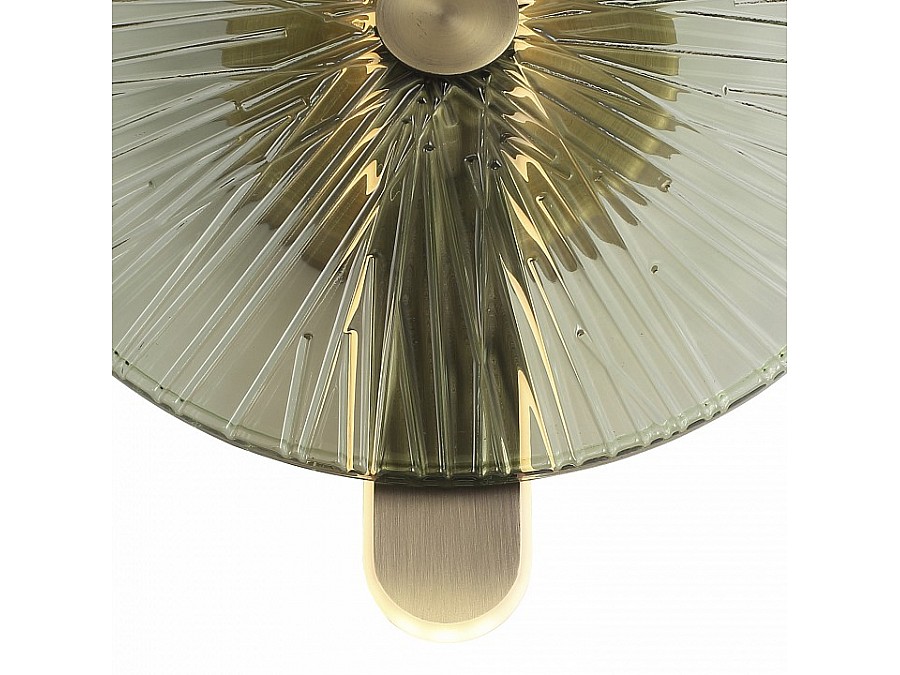 Накладной светильник ST-Luce WASI SL6141.321.01