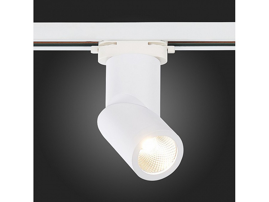Светильник на штанге ST-Luce ST650 ST650.546.10