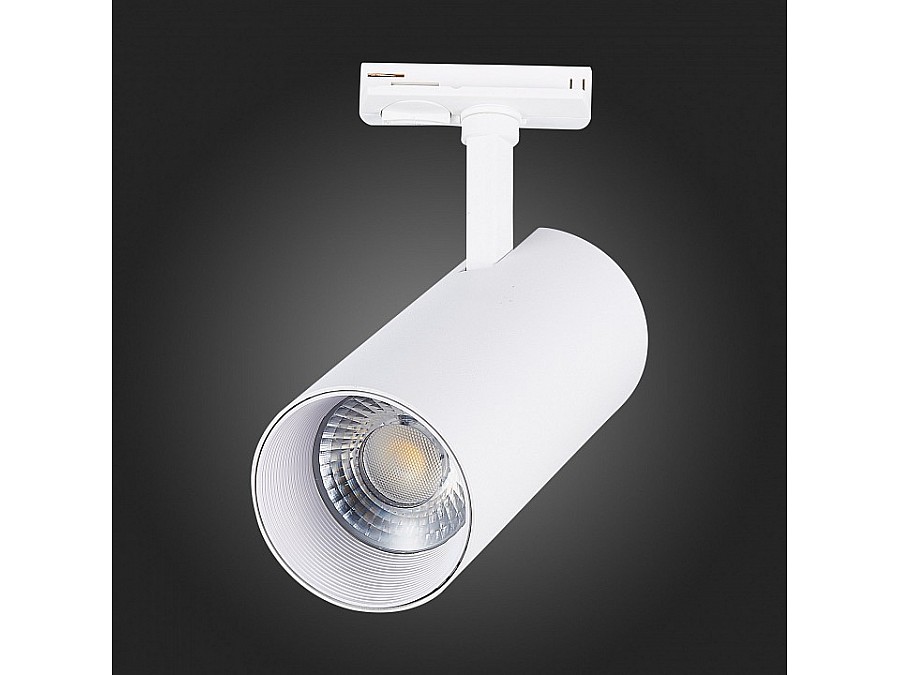 Светильник на штанге ST-Luce Mono ST350.536.30.36