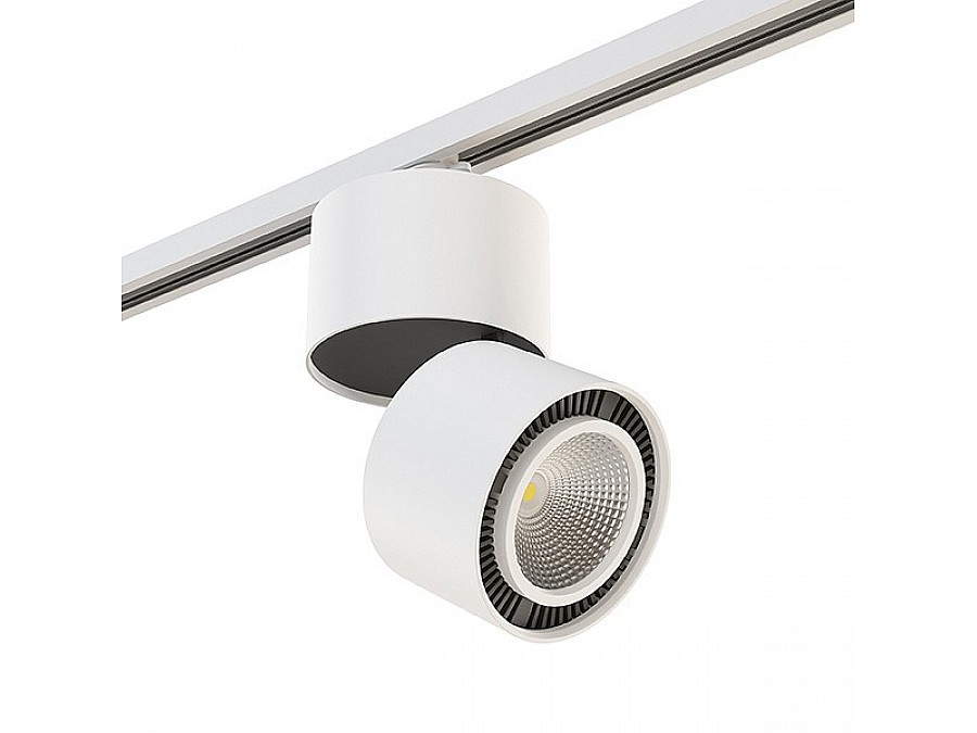 Светильник на штанге Lightstar Forte Muro A1T213816