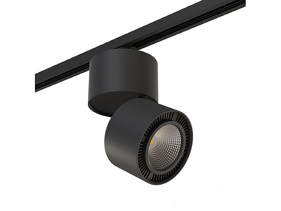Светильник на штанге Lightstar Forte Muro A1T213857