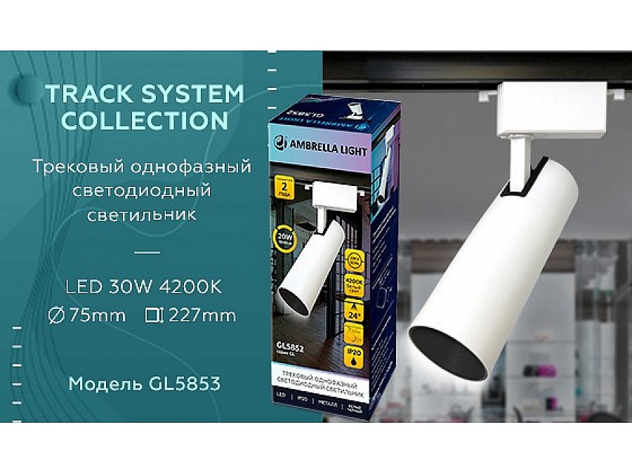 Светильник на штанге Ambrella Light GL GL5853