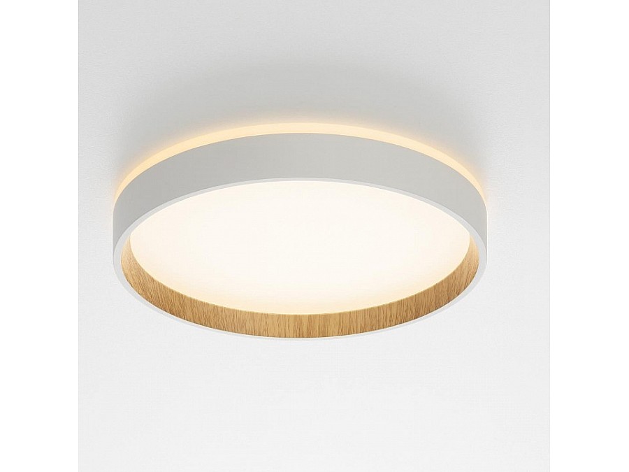 Накладной светильник Citilux Etalon CL750240