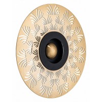 Накладной светильник Arte Lamp Biscotto A2643AP-1GO