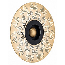 Накладной светильник Arte Lamp Biscotto A2643AP-1GO