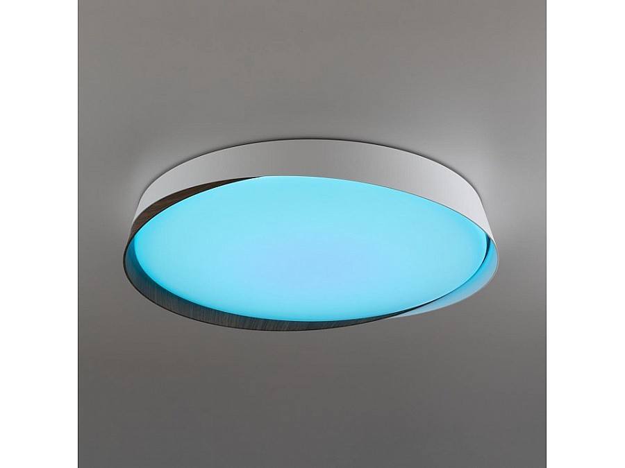 Накладной светильник Citilux BONNY CL754450G