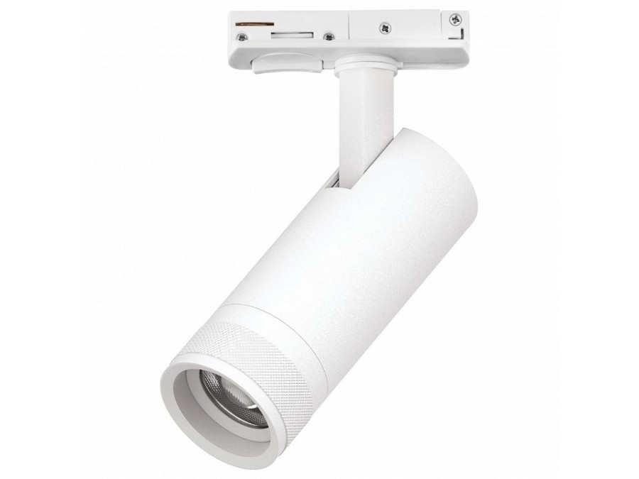 Светильник на штанге Lightstar Canno Pro C4126SS