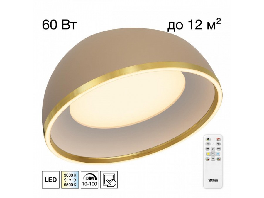 Накладной светильник Citilux FLOOM CL736152