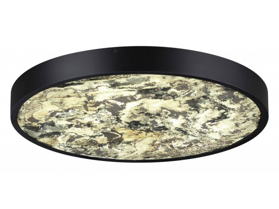 Накладной светильник Odeon Light Bergi 5064/40L