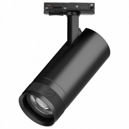 Светильник на штанге Lightstar Canno Pro C4207SS