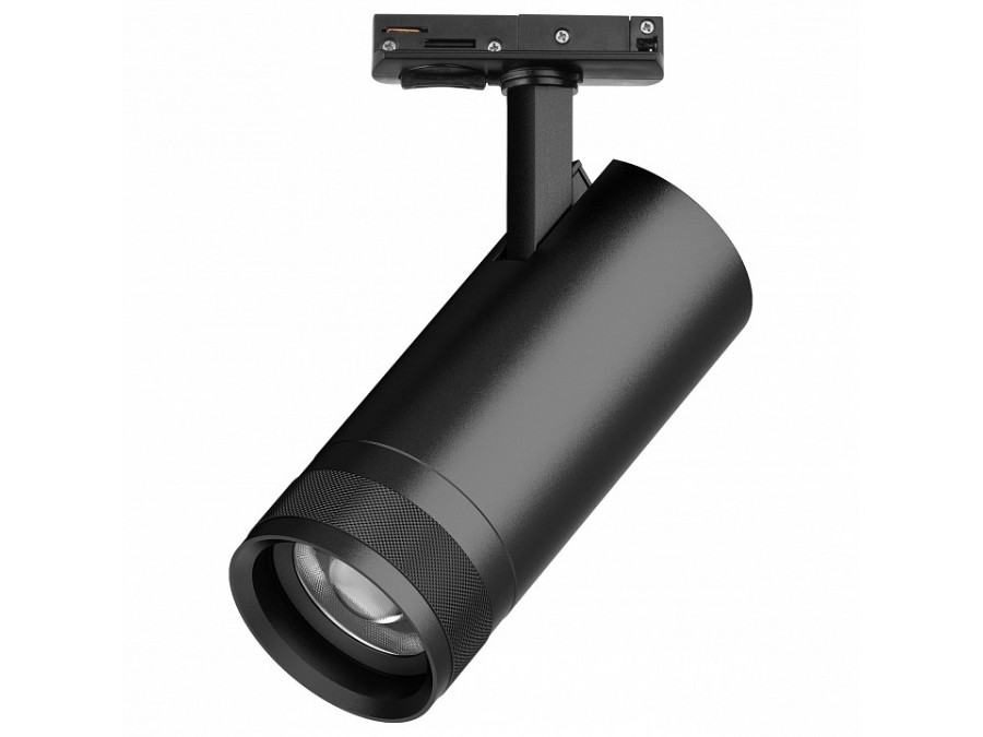 Светильник на штанге Lightstar Canno Pro C4207SS