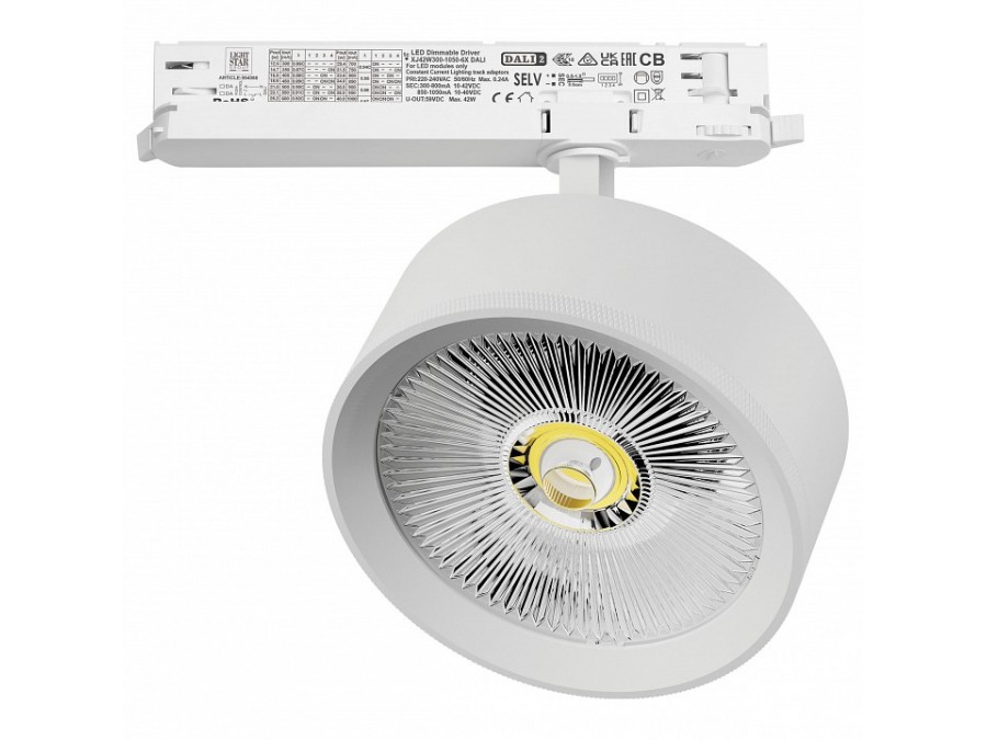 Светильник на штанге Lightstar Alta Pro A5736DALI