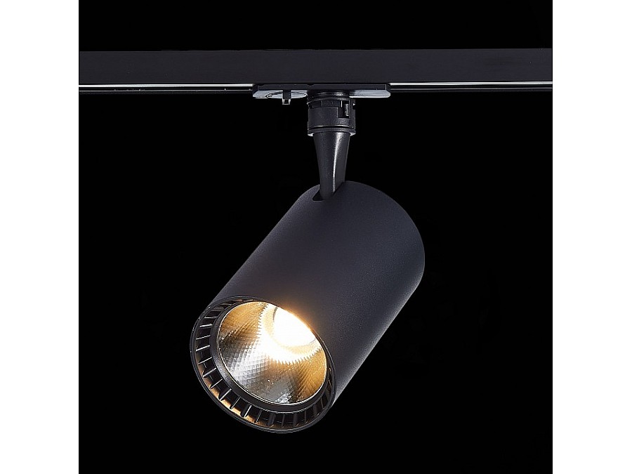 Светильник на штанге ST-Luce Cami ST351.446.15.36