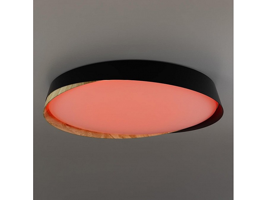 Накладной светильник Citilux BONNY CL754451G