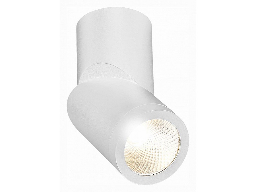 Светильник на штанге ST-Luce ST650 ST650.532.10
