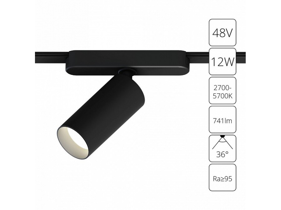 Светильник на штанге Arte Lamp Rapid A2958PL-1BK