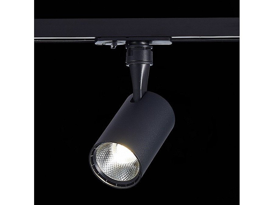 Светильник на штанге ST-Luce Cami ST351.436.10.36