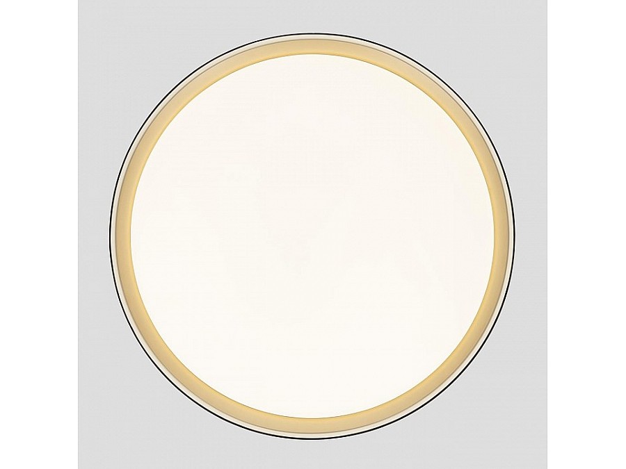 Накладной светильник Citilux BOSS CL751451G