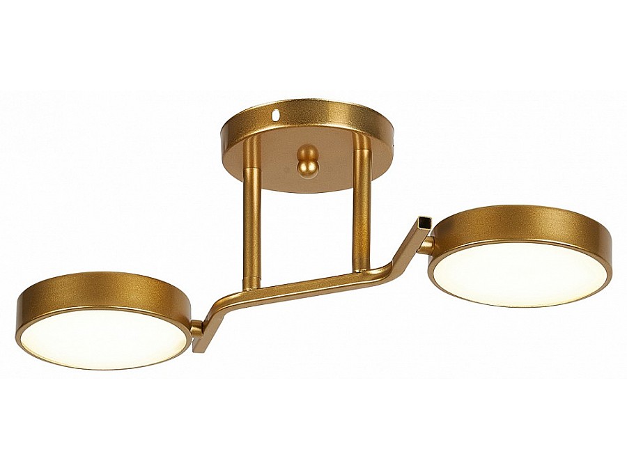 Светильник на штанге Escada Starlight 10273/2LED