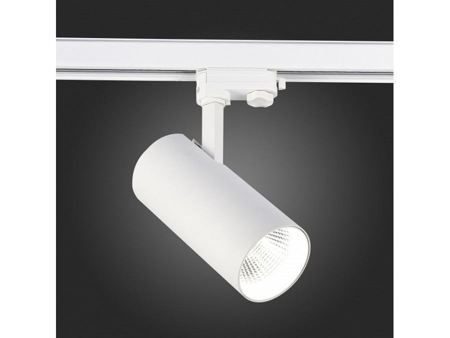 Светильник на штанге ST-Luce ST661 ST661.536.40