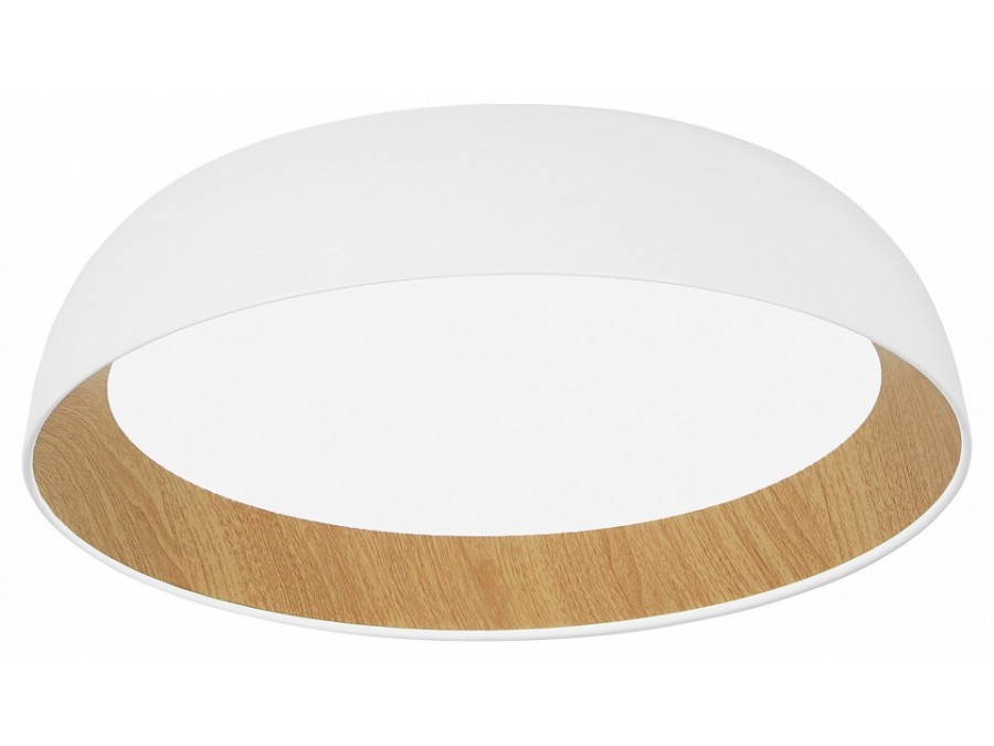 Накладной светильник EVOLUCE MUSE SLE1812-502-01