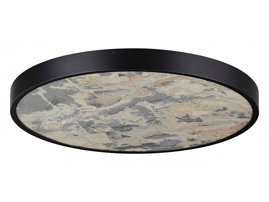 Накладной светильник Odeon Light Bergi 5064/50L