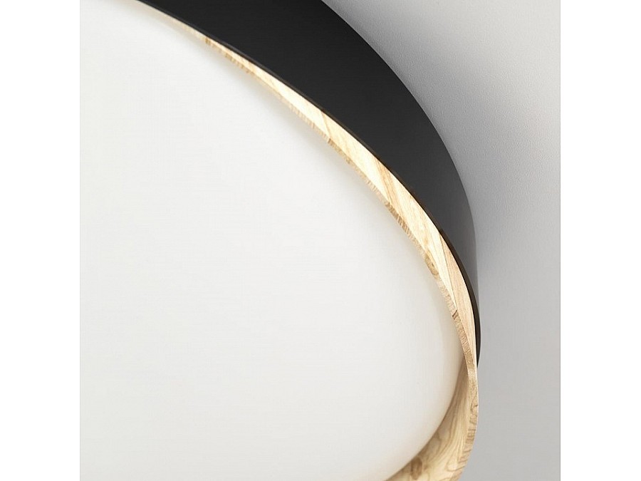 Накладной светильник Citilux BONNY CL754451G