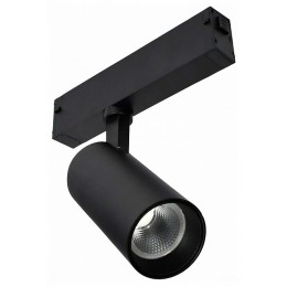 Светильник на штанге ST-Luce SKYLINE 220 ST660.446.10H