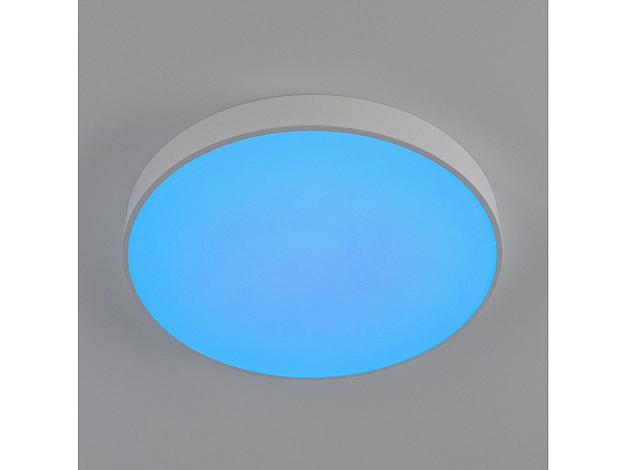 Накладной светильник Citilux Купер CL72495G0