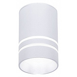 Накладной светильник Ambrella TN TN236