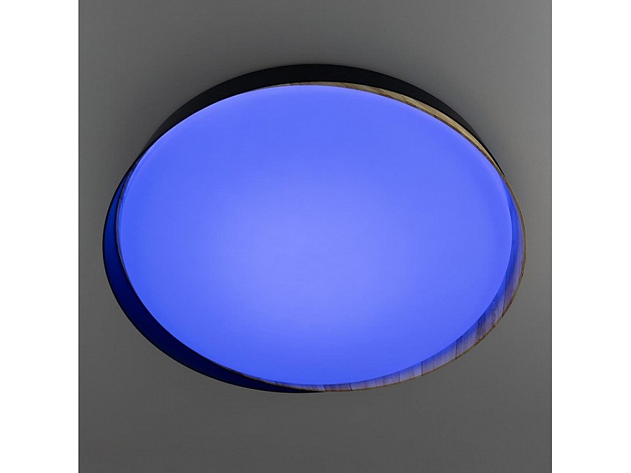 Накладной светильник Citilux BONNY CL754451G