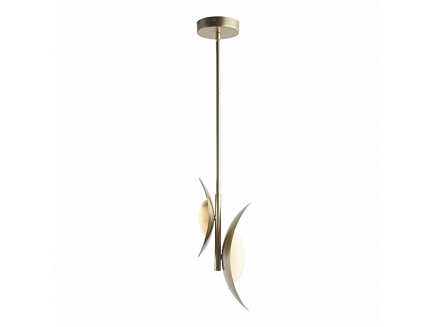 Подвесной светильник ST-Luce Pearl SL6229.203.02